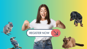 How to apply for the Google Ad Grant