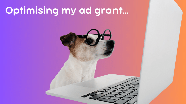 optimising my ad grant - photo of dog working on computer