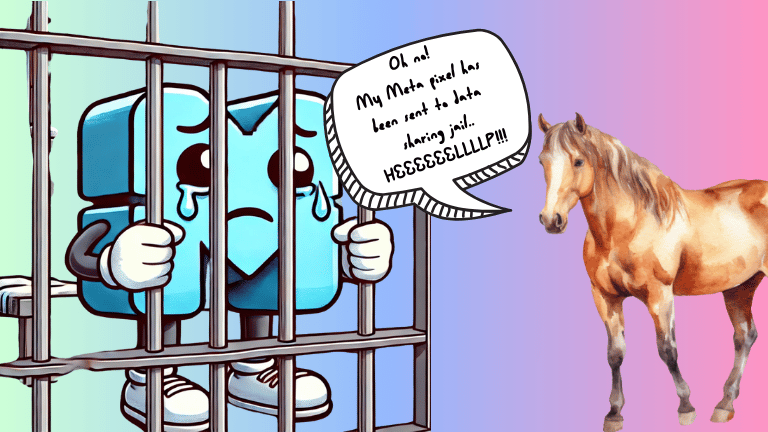 Meta Pixel Data Sharing Restrictions