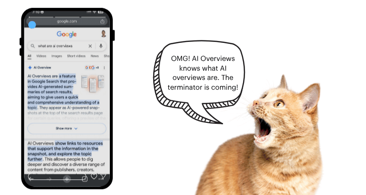 A cat looking shocked by AI Overviews